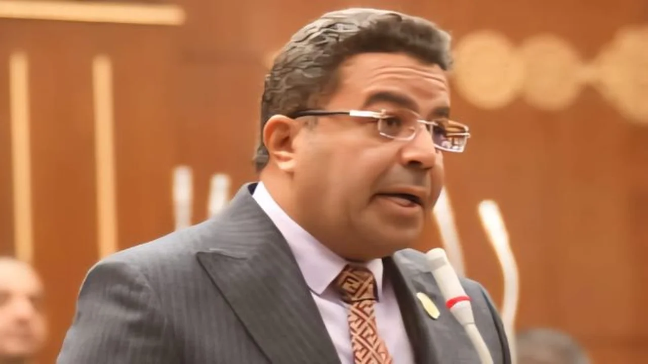 مصر تبرز كشريك تنموي مميز في أفريقيا وفق رئيس حزب الوعي